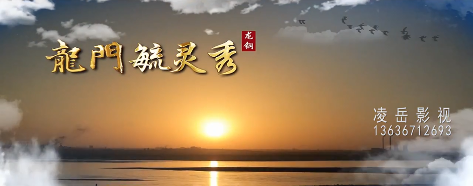 禹龍騰飛